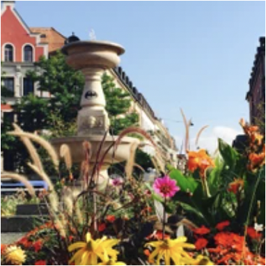 Travel photo of a fountain with flowers